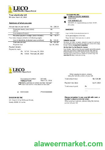Sri Lanka LECO Company electricity business utility bill template in Word and PDF formats